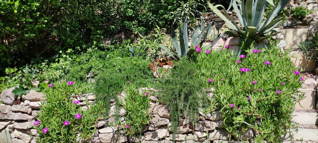 Belle Dependance De 30M2 Avec Terrasse Et Jardin Apartman Villeneuve-lès-Avignon Kültér fotó